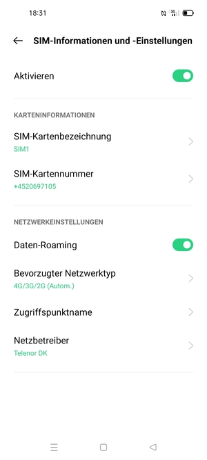 Schalten Sie Daten-Roaming an oder aus