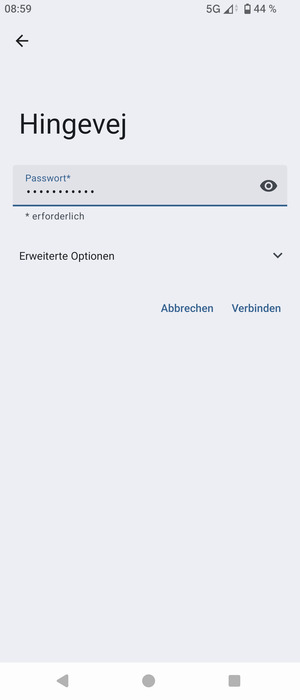 Geben Sie das WLAN-Passwort ein und wählen Sie Verbinden