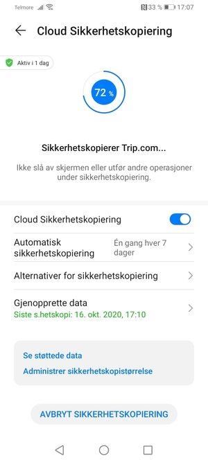 Vent til sikkerhetskopieringen er ferdig
