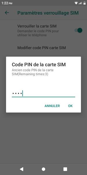 Saisissez votre Ancien code PIN de la carte SIM et sélectionnez OK