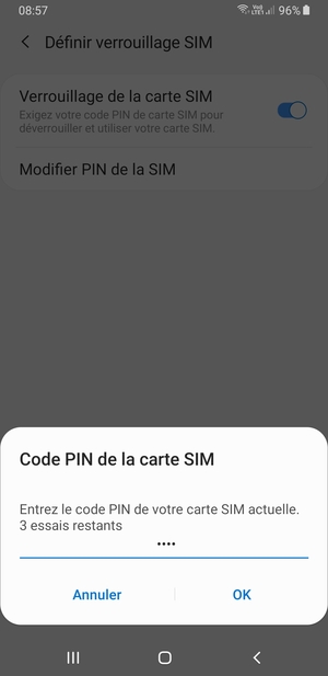 Saisissez votre Code PIN de la carte SIM actuelle et sélectionnez OK