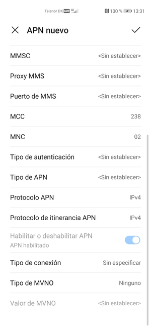 Desplácese hacia abajo e introduzca la información de Internet