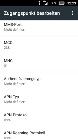 Scrollen Sie nach unten und geben Sie Ihre Internetinformationen ein