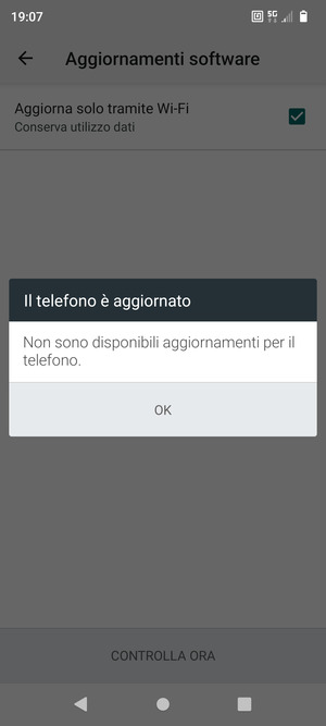 Se il tuo telefono è aggiornato, seleziona OK