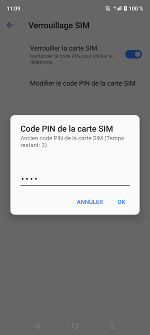 Saisissez Ancien code PIN de la carte SIM et sélectionnez OK