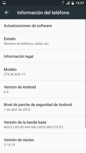 Seleccione Actualizaciones de software