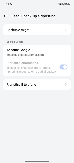 Seleziona Account Google