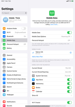 Select Mobile Data and Mobile Data Options