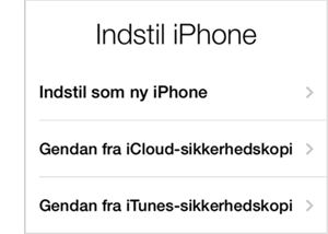 Gennemgå opsætningsassistenten igen, som du gjorde, da din telefon var ny.