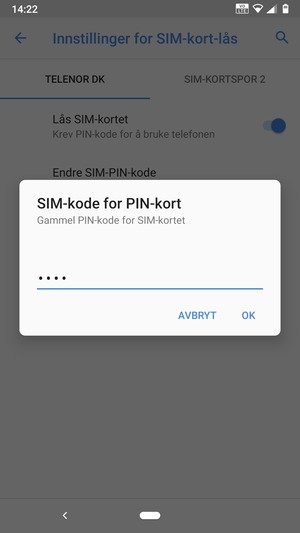 Skriv inn Gammel PIN-kode for SIM-kortet og velg OK
