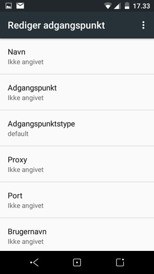 Indtast internet-oplysninger