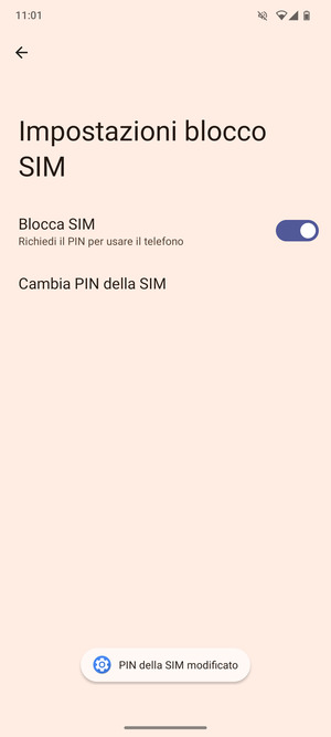 Il tuo PIN della SIM è stato modificato
