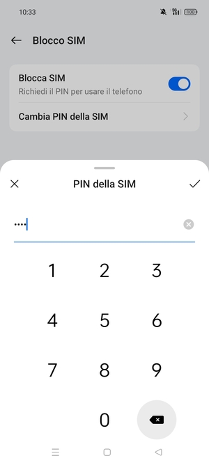 Inserisci PIN attuale della SIM e seleziona OK