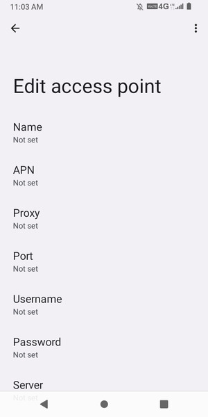 Enter Internet information