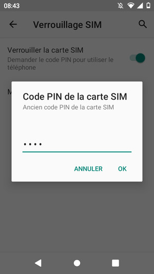 Saisissez votre Ancien code PIN de la carte SIM et sélectionnez OK