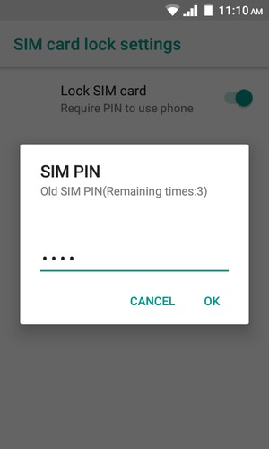 Enter your Old SIM PIN and select OK