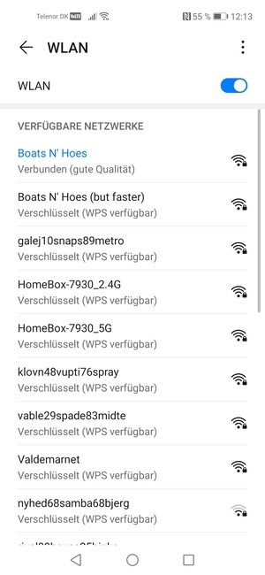 Sie sind nun mit dem WLAN-Netzwerk verbunden