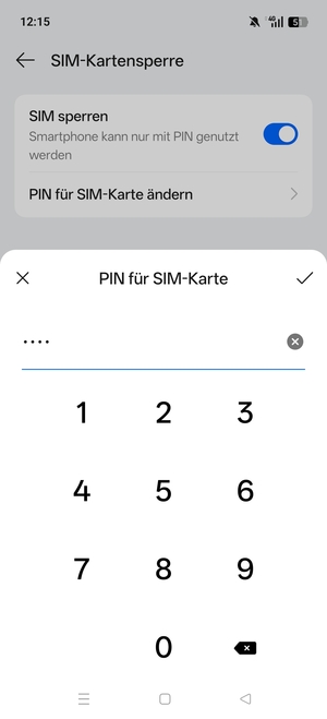 Geben Sie Aktuelle PIN für die SIM-Karte ein und wählen Sie OK