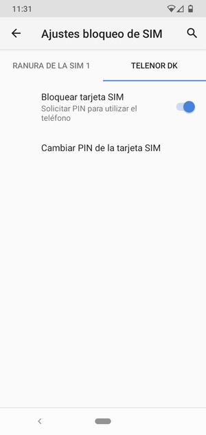 Seleccione Public y Cambiar PIN de la tarjeta SIM