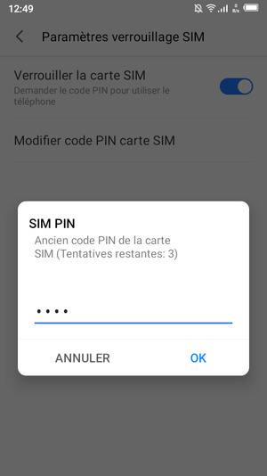 Saisissez votre Ancien code PIN de la carte SIM et sélectionnez OK