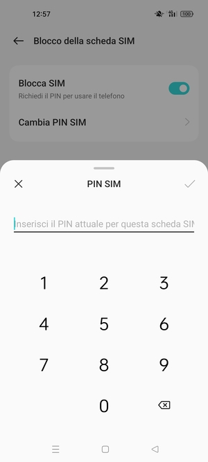 Inserisci PIN attuale per questa scheda SIM e seleziona OK