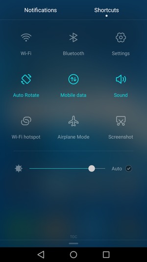 Check the Auto checkbox