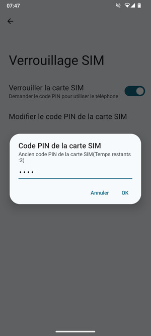 Saisissez Ancien code PIN de la carte SIM et sélectionnez OK