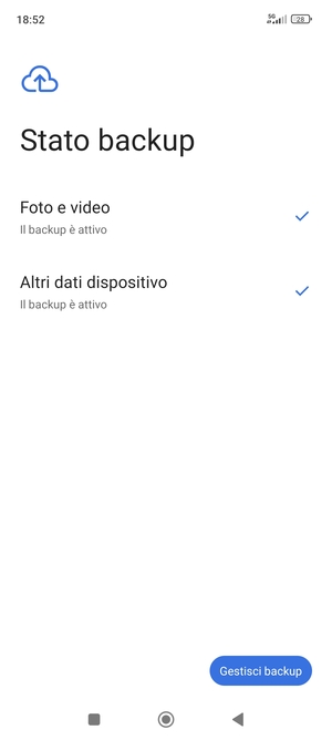 Seleziona Gestisci backup
