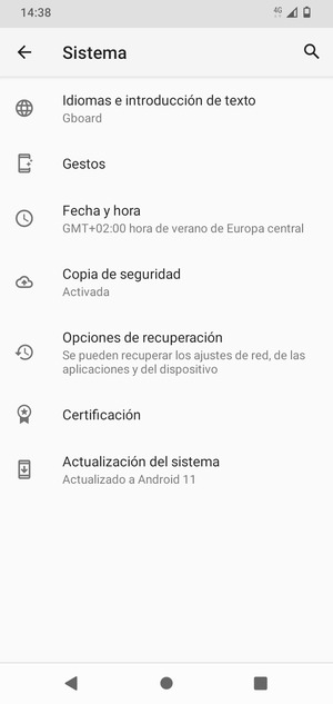 Seleccione Actualización del sistema