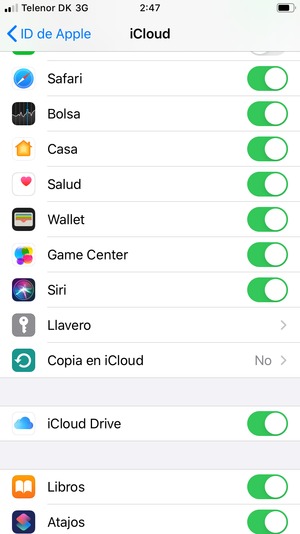 Desplácese y seleccione Copia en iCloud
