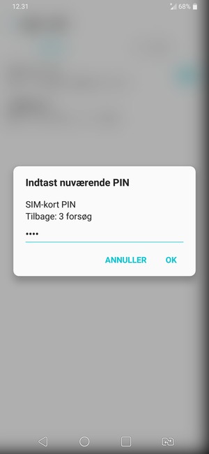 Indtast din Nuværende SIM-kort PIN og vælg OK