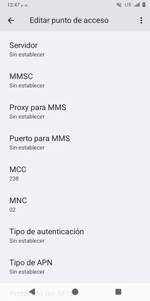 Desplácese hacia abajo e introduzca la información MMS
