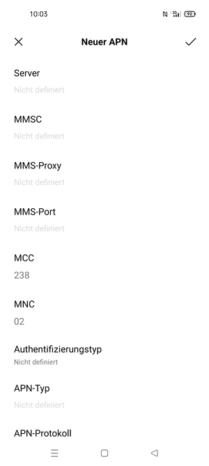 Scrollen Sie nach unten und geben Sie Internetinformationen ein