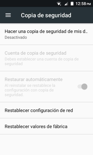 Seleccione Hacer una copia de seguridad de mis datos