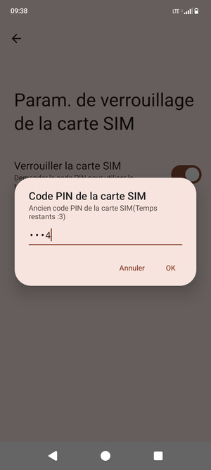 Saisissez votre Ancien code PIN de la carte SIM et sélectionnez OK