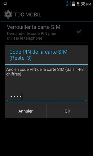 Saisissez votre Ancien code PIN de la carte SIM et sélectionnez OK