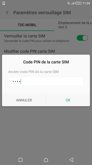Saisissez votre Ancien code PIN de la carte SIM et sélectionnez OK