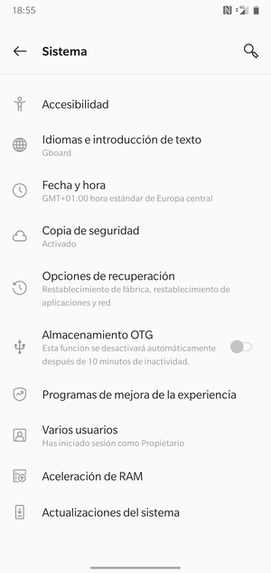 Seleccione Actualizaciones del sistema