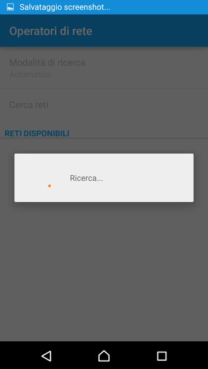 Attendi il completamento della ricerca