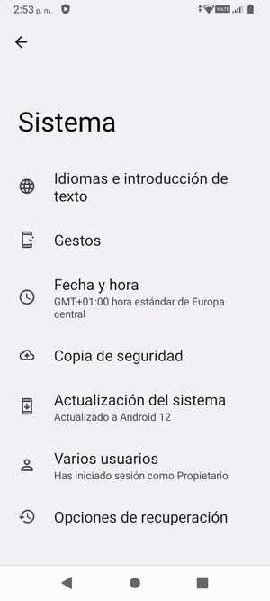 Seleccione Actualización del sistema