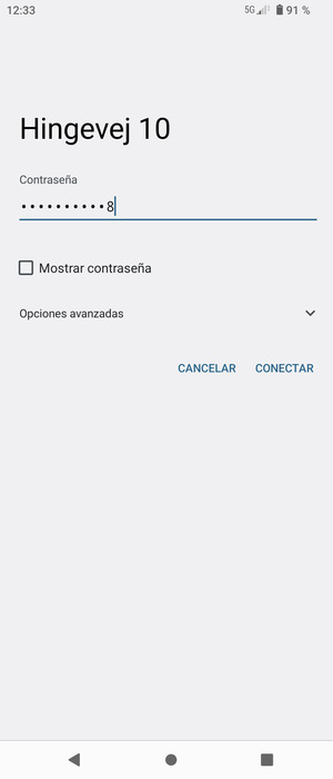 Introduzca la contraseña de Wi-Fi y seleccione CONECTAR