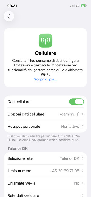 Seleziona Opzioni dati cellulare