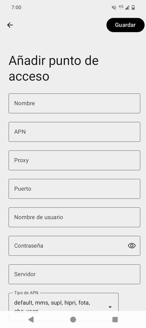 Introduzca la información de Internet