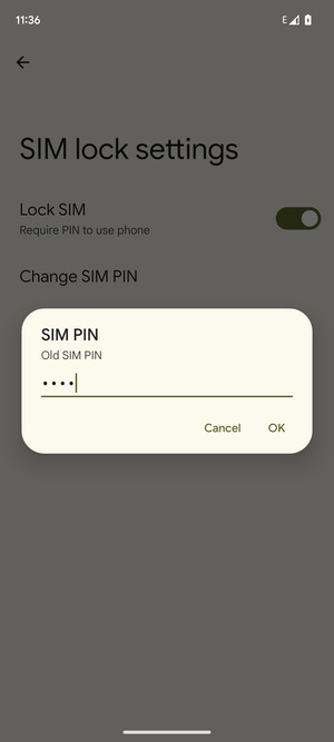 Enter your Old SIM PIN and select OK