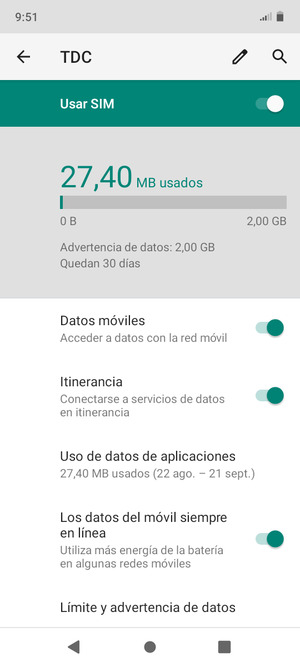Activar o desactivar Itinerancia