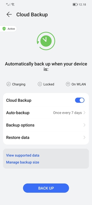 Select BACK UP