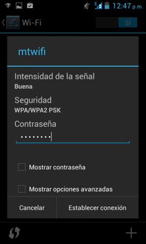 Introduzca la contraseña de Wi-Fi y seleccione Establecer conexión
