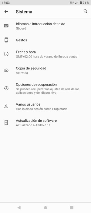 Seleccione Actualización de software