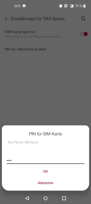 Geben Sie Ihre Alte PIN der SIM-Karte ein und wählen Sie OK
