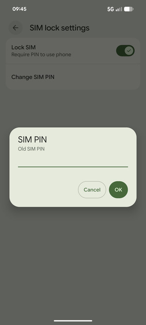 Enter your Old SIM PIN and select OK